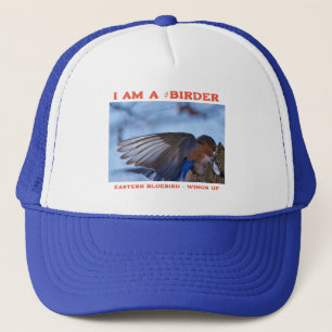 Boné Wings Up Eastern Bluebird Birder