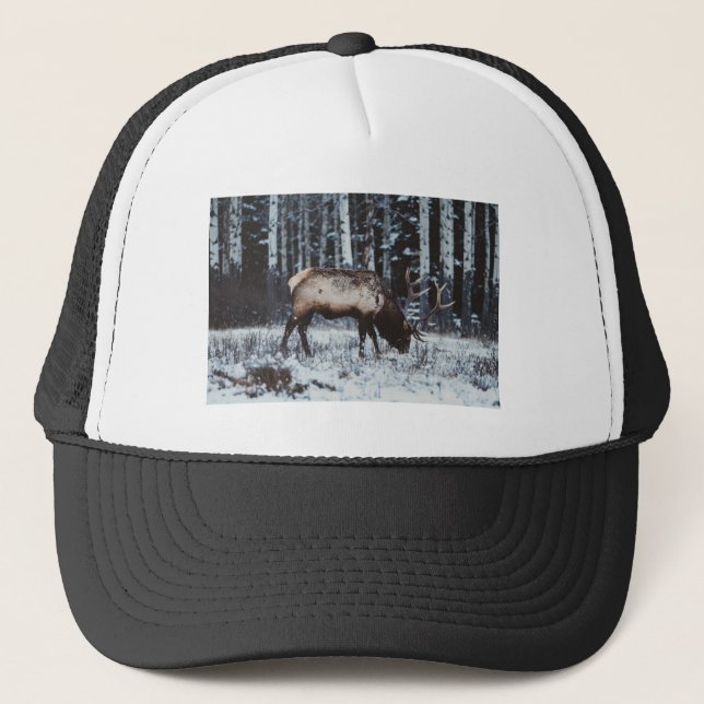 Boné Winter Majesty: Elk in Snow Trucker Cap (Frente)