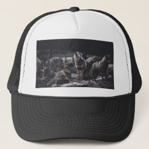 Boné Wolf Pack