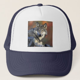 Boné Wolf Wisdom Hat