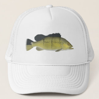 Boné Xingu Peacock Bass