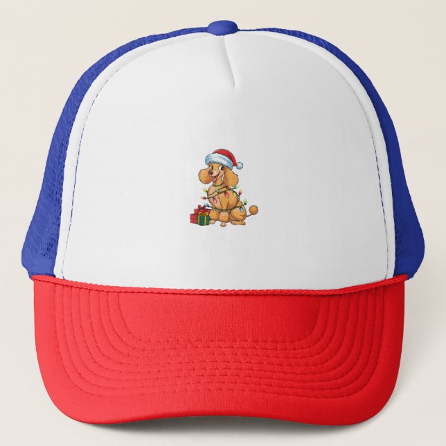 Boné Xmas Lighting Santa Hat Poodle Natal _1 (Frente)