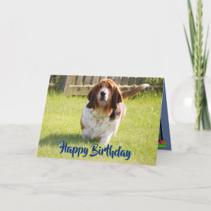 Bonita Caça-Basset No Cartão De Aniversário Engraç