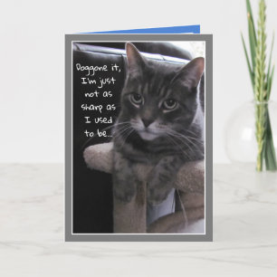 Bonita Gata Engraçada Belo Cartão de Aniversário A