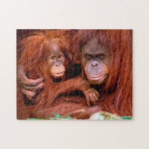 Bonita mãe e bebê de Orangutan, Quebra-cabeça d