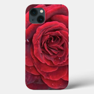 Bonita rosa vermelha iphone 13 durão