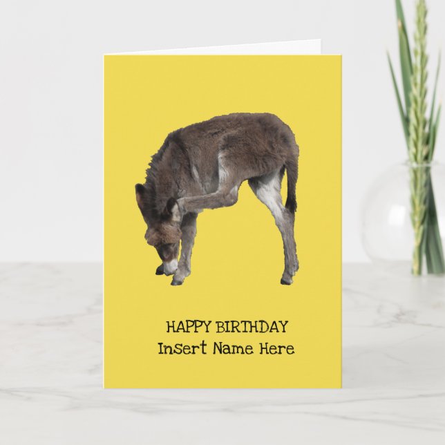 Bonitinho Burro, Modelo (Frente)