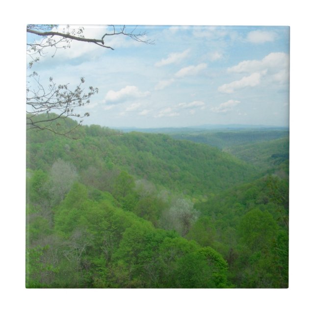 Bonito aparência do Appalachian (Frente)