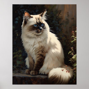 Bonito Birman Cat Art Impressão Poster