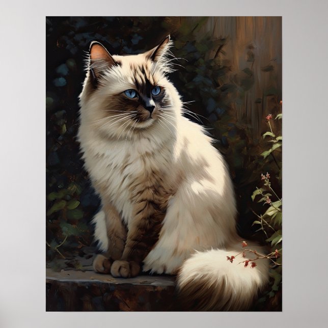 Bonito Birman Cat Art Impressão Poster (Frente)
