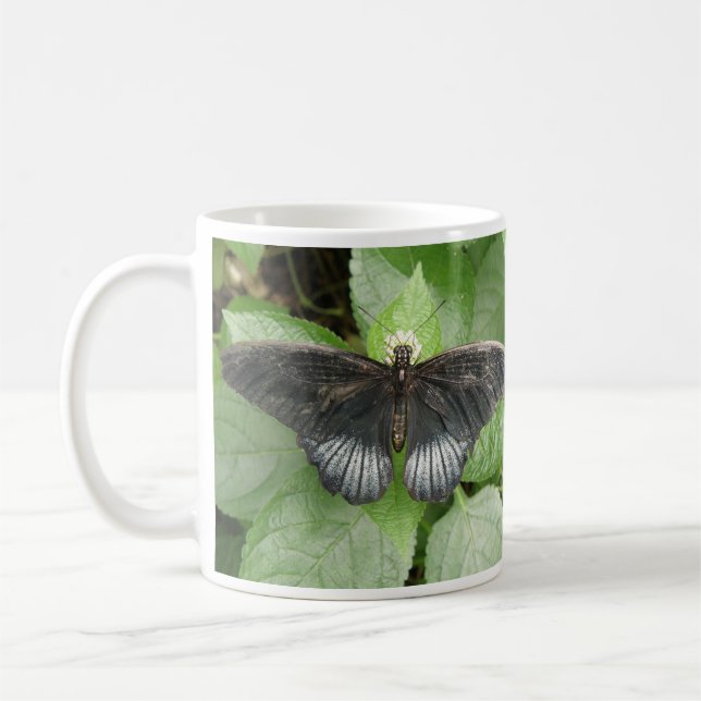 Bonito borboleta tropical e caneca de flores (Esquerda)