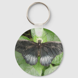 Bonito borboleta tropical e Chaveiro de flores