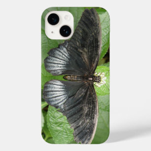 Bonito borboleta tropical e flores