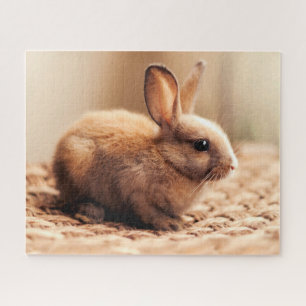 Bonito Bunny, Quebra-cabeça de Jigsaw