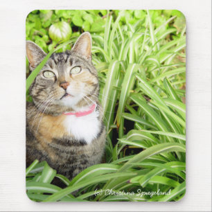 Bonito Calico Cat Mousepad