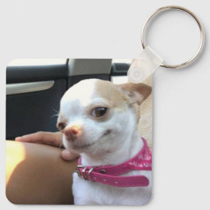 Bonito Cão Chihuahua Meme Chaveiro duplo lateral