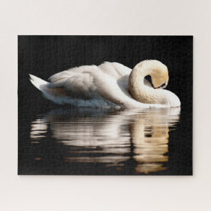 Bonito Cisne Branco, Quebra-cabeça de Jigsaw