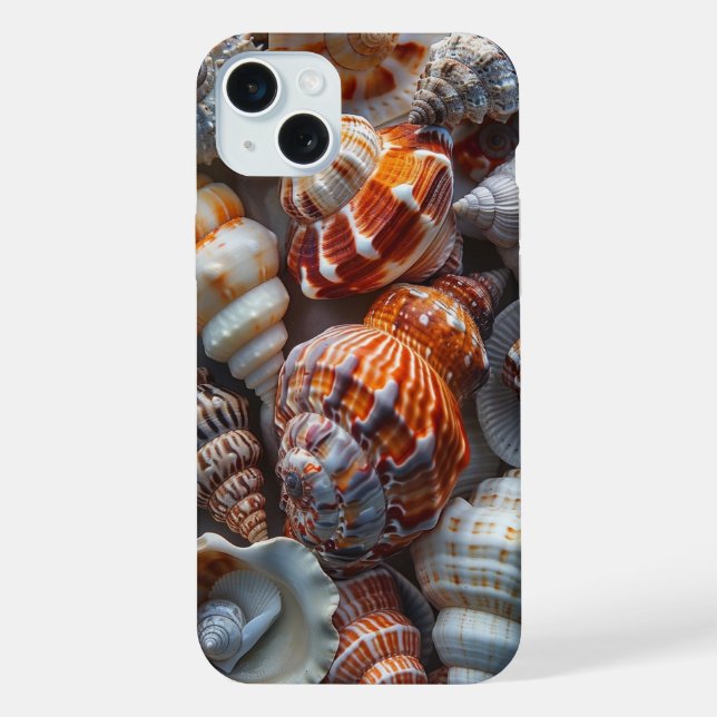 Bonito conchas (Verso)