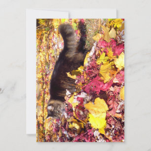 Bonito Engraçado Maine Coon Inspeção Folha