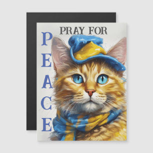 Bonito Gato Amarelo com Olhos Azuis - ucrânia