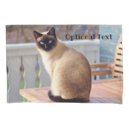 Bonito Gato Siamês com Olhos Azuis