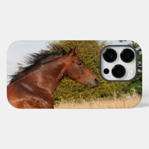 Bonito iPhone/iPad Horse
