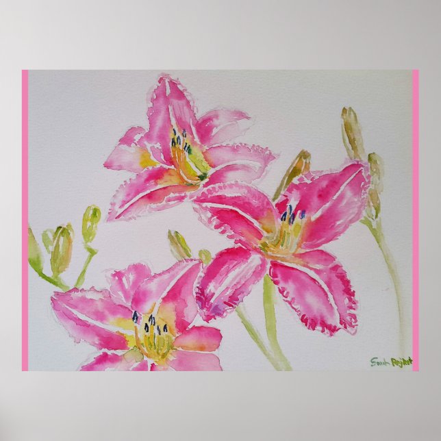 Bonito Lily No Poster de Pintura De Aquarela Rosa (Frente)