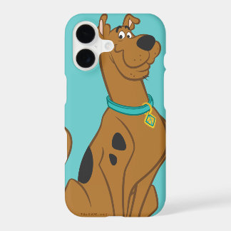 Bonito mais bonito de Scooby-Doo do que