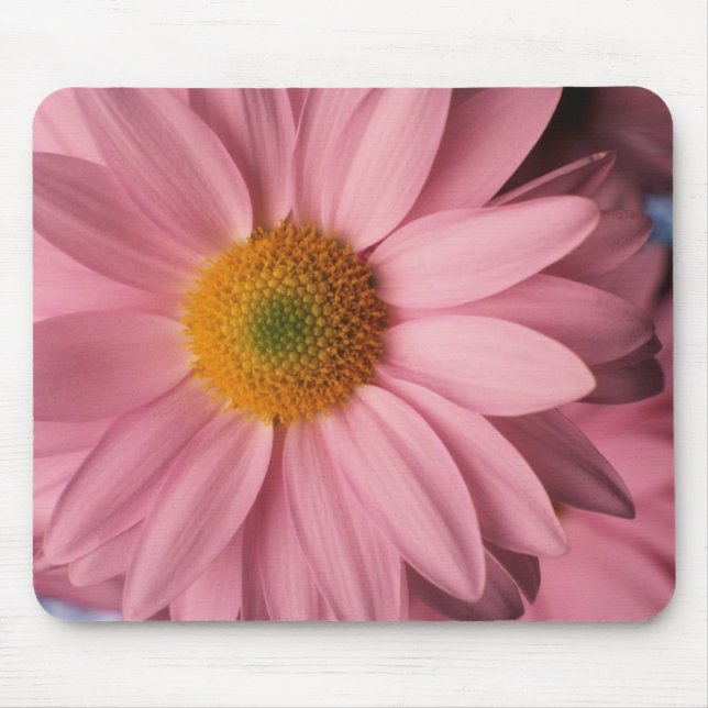 Bonito na margarida cor-de-rosa Mousepad (Frente)
