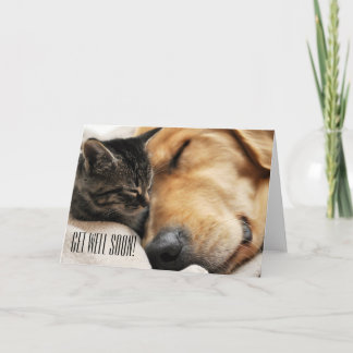 Bonito obtenha logo o cartão bom