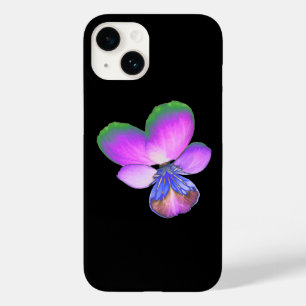 Bonito Pansy