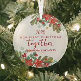 Bonito Poinsettia - Primeiro Natal Personalizada