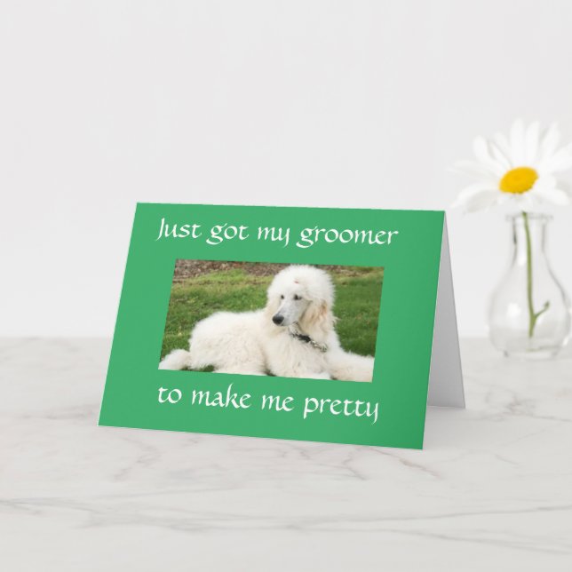 BONITO "POODLE" DIZ CARTÃO "FELIZ ANIVERSÁRIO" (Planta pequena)