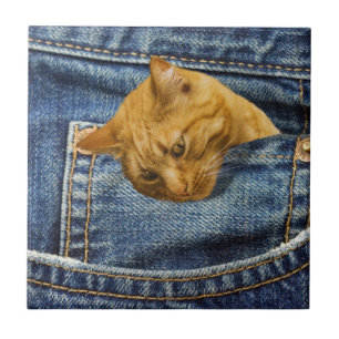 Bonito presente para guardiões de gatos