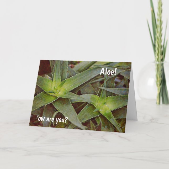 Bonito Pun Cactus Aloe Olá Pensando em seu Cartão (Frente)
