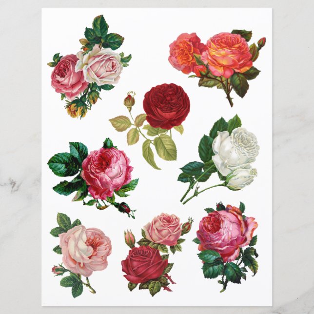 Bonito Rosa Vintage Papel Scrapbook Fussy Cut (Frente)