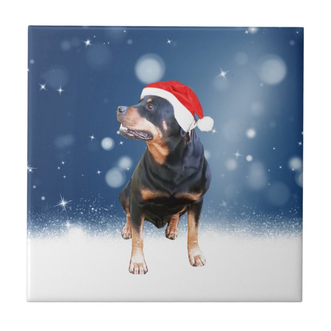 Bonito Rottweiler Cachorro Natal Santa Hat Estrela (Frente)