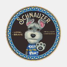 Bonito Schnauzer com atitude