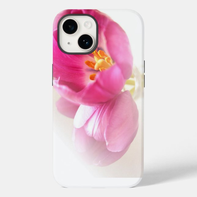 Bonito Tulipas Rosa (Verso)