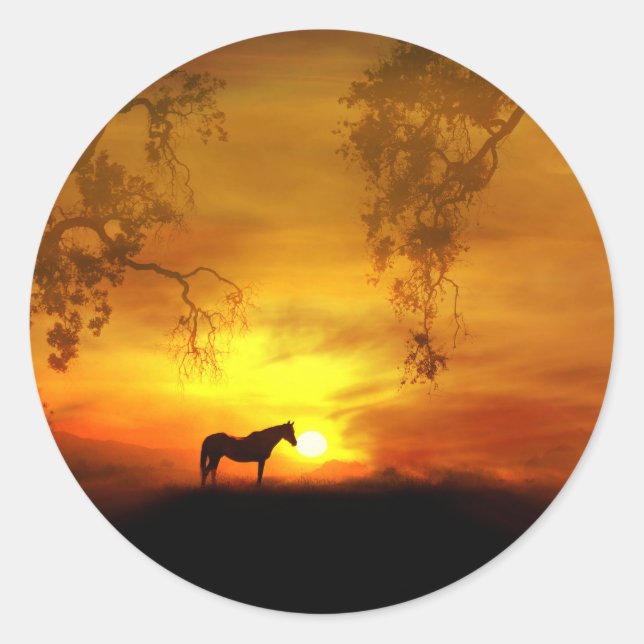 Bonitos adesivos de Arte de Cavalo (Frente)