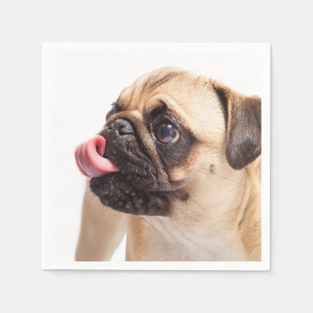 Bonitos e Engraçados guardanapos de papel Canino (Frente)