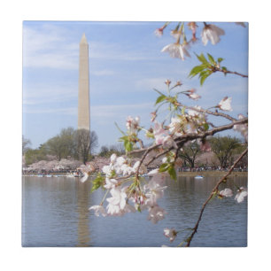 Bonitos presentes do Monumento de Washington
