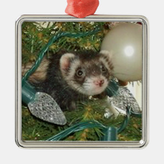 Bonnie nos enfeites de natal da árvore