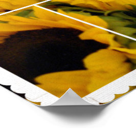 Bons tempos - Poster de flores sunflores
