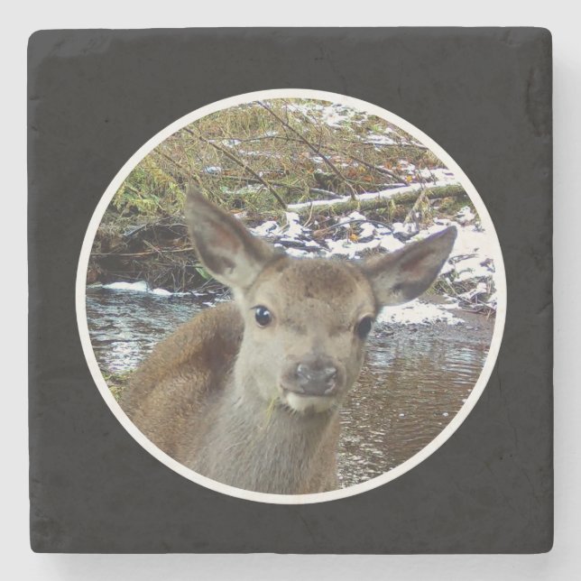 Bons veados para a Porta copos de pedra da câmera (Frente)