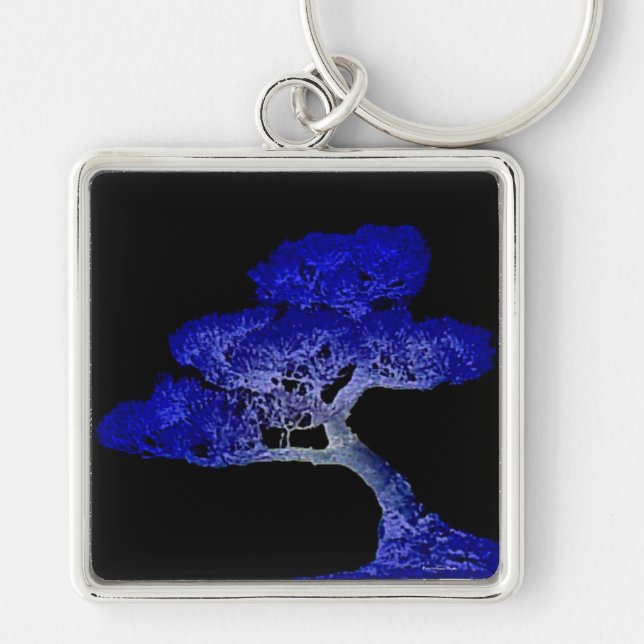 Bonsai Chaveiro (Frente)