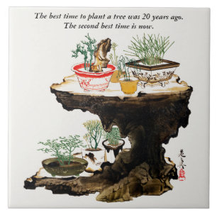 Bonsai Tree Botanic Plant Japonês Watercolor