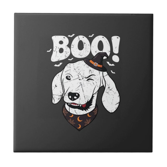 Boo Halloween Cachorro Bruxa Chapéu Morcegos (Frente)