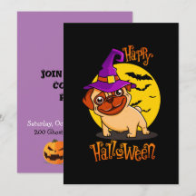 BooF - Bruno, o Bulldog Francês