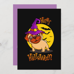 BooF - Bruno, o Bulldog Francês